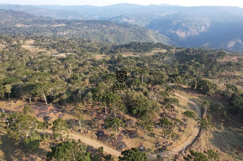 Terreno à venda, 24000m² - Foto 6