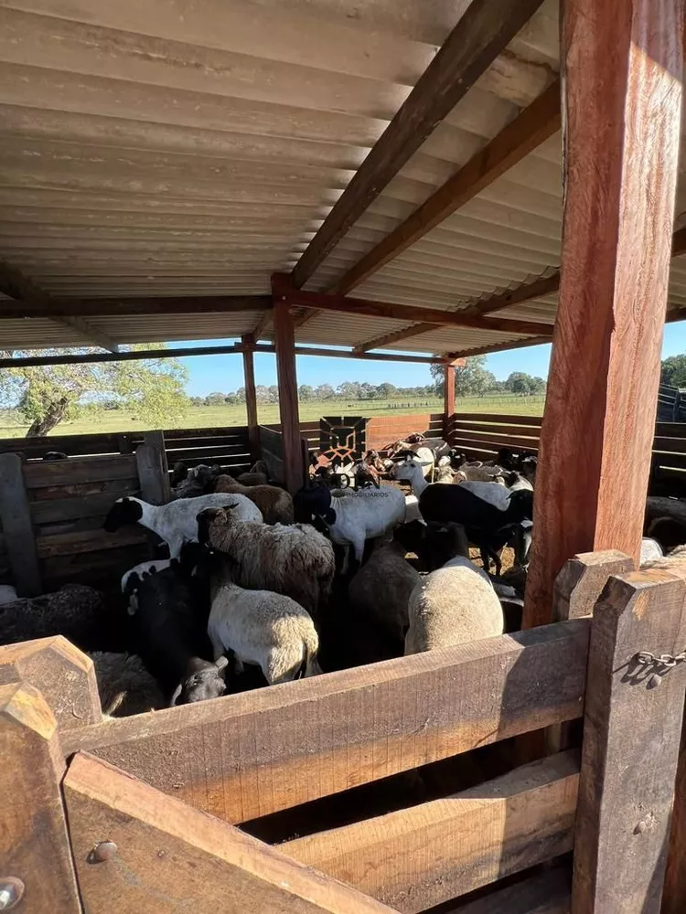 Fazenda à venda, 18160000m² - Foto 4