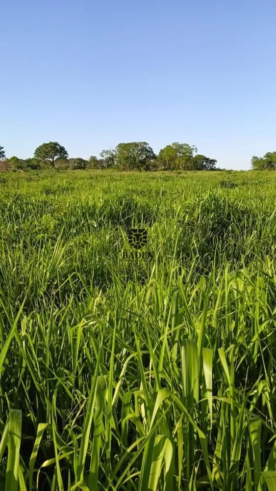 Fazenda à venda, 18160000m² - Foto 2