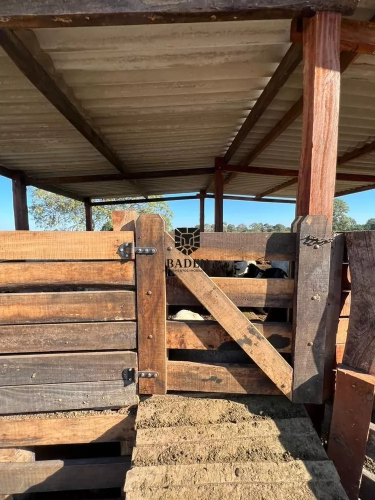 Fazenda à venda, 18160000m² - Foto 6