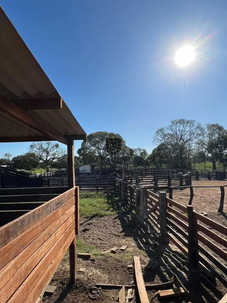 Fazenda à venda, 18160000m² - Foto 5