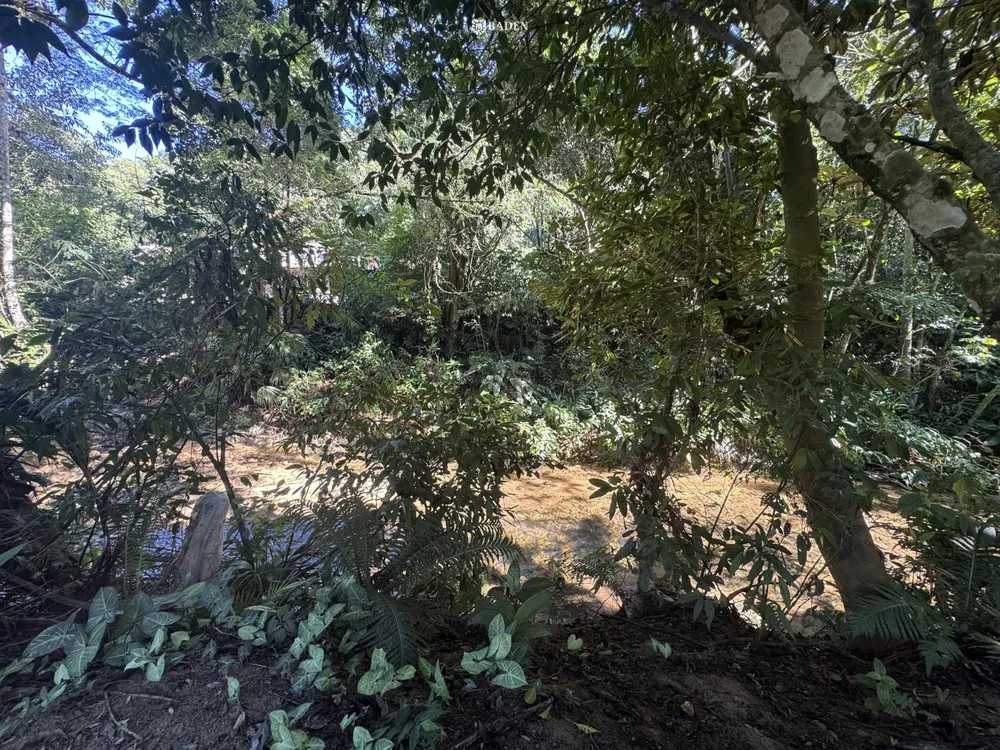 Chácara, 2 quartos, 2500 m² - Foto 15