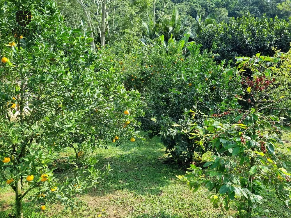 Chácara, 2 quartos, 2500 m² - Foto 1