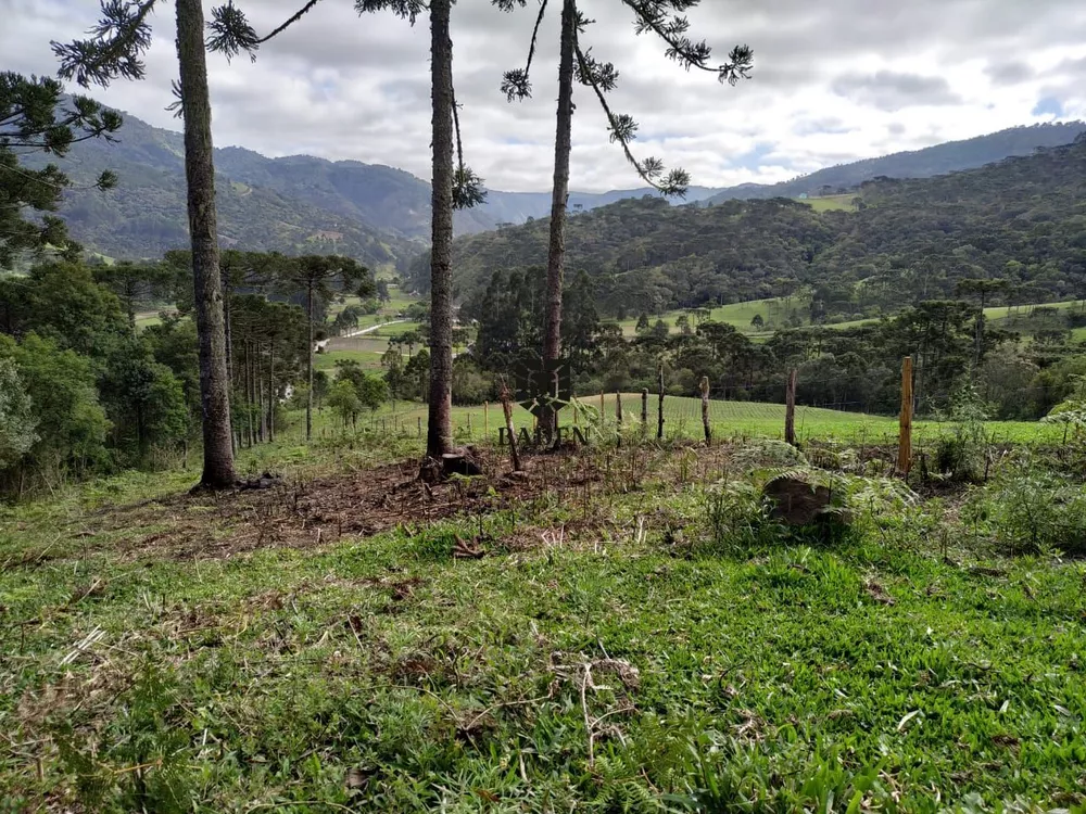 Terreno à venda, 42000m² - Foto 4