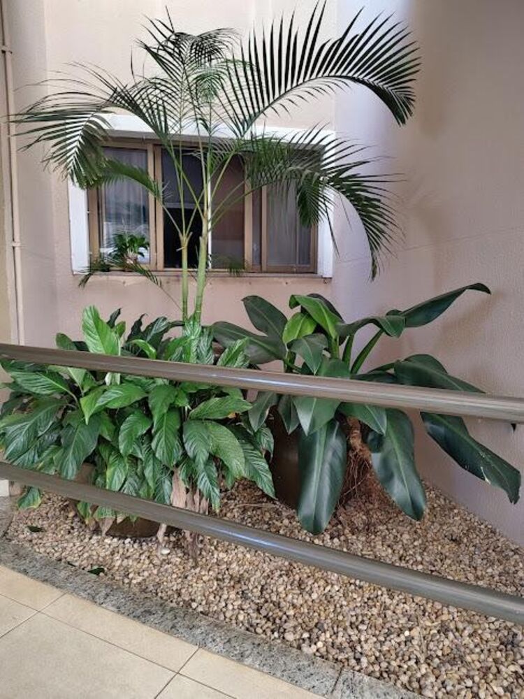 Apartamento, 3 quartos, 108 m² - Foto 7