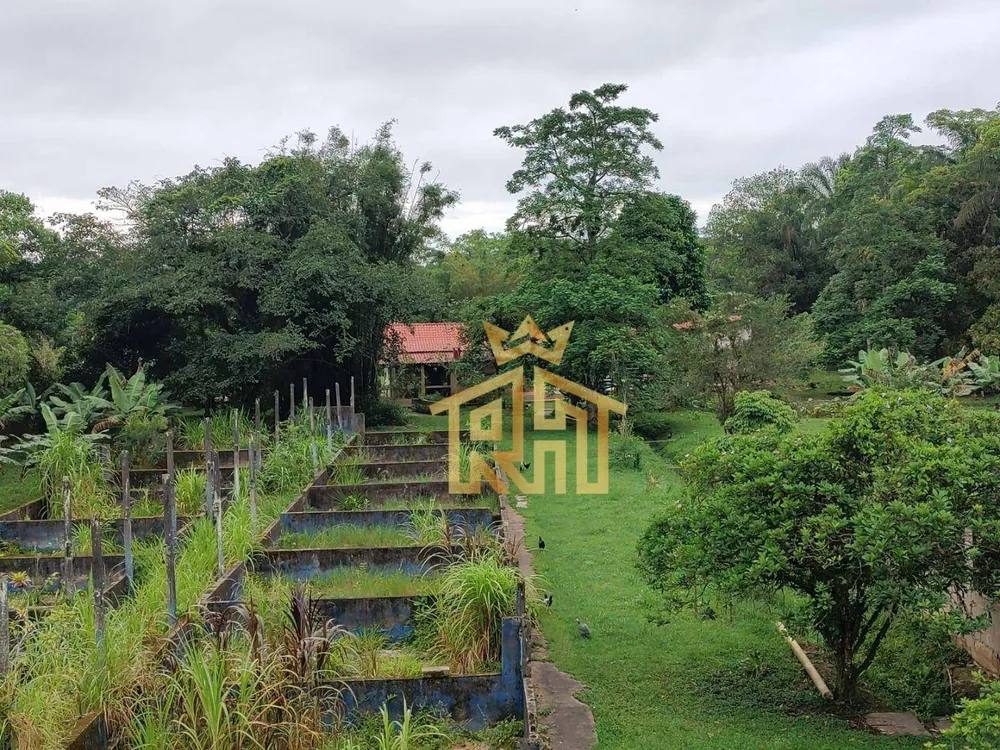 Chácara, 3 quartos, 2 hectares - Foto 8
