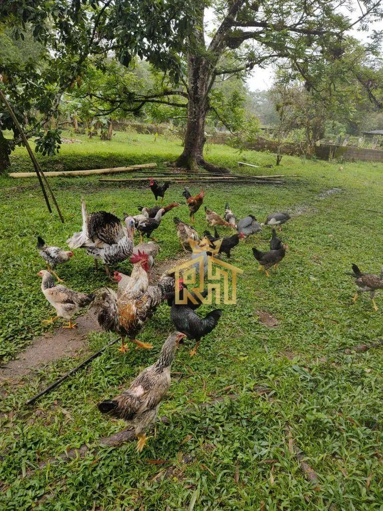 Chácara, 3 quartos, 2 hectares - Foto 19