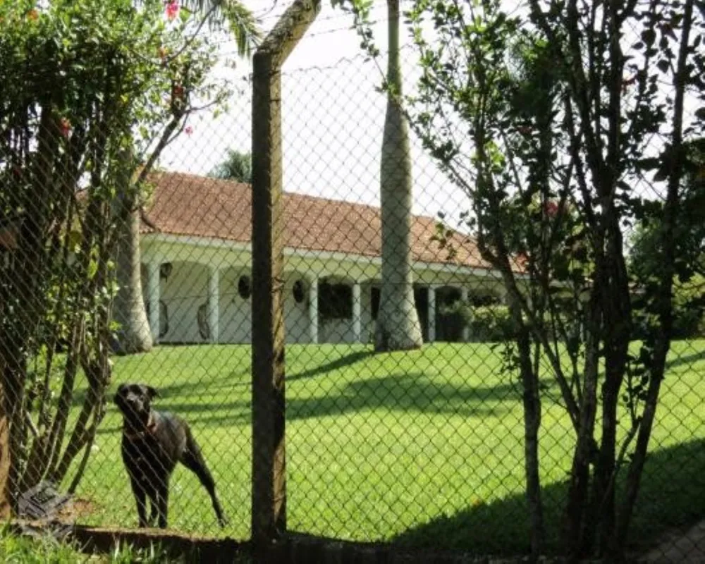 Fazenda - Foto 7