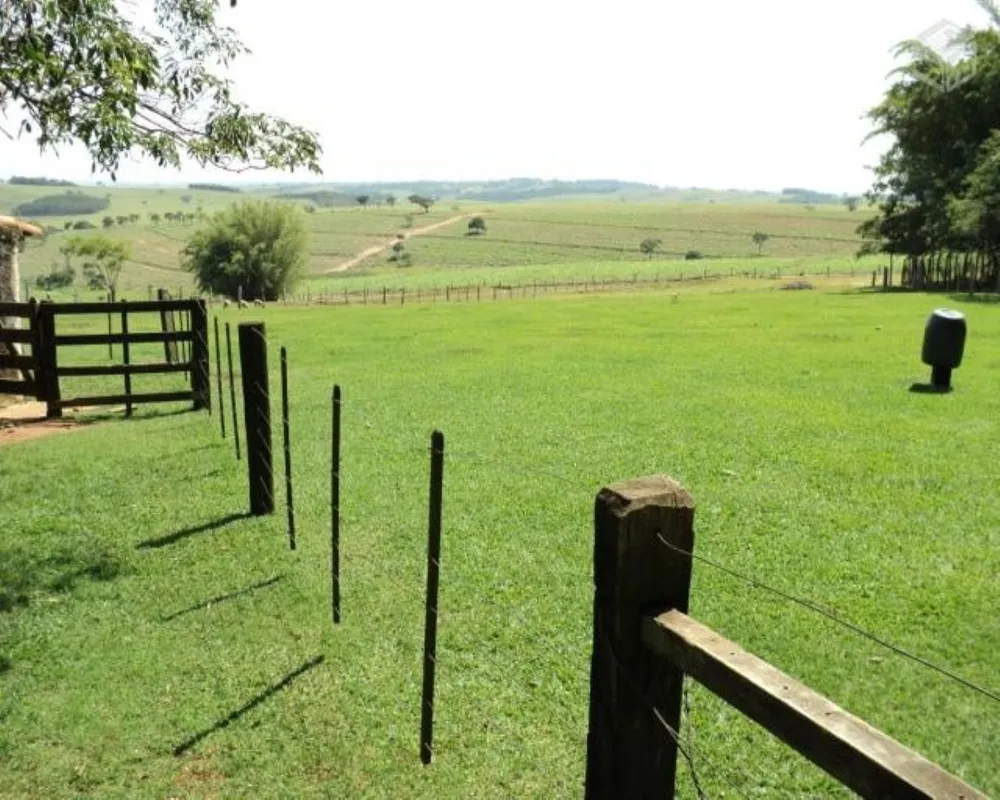 Fazenda - Foto 3