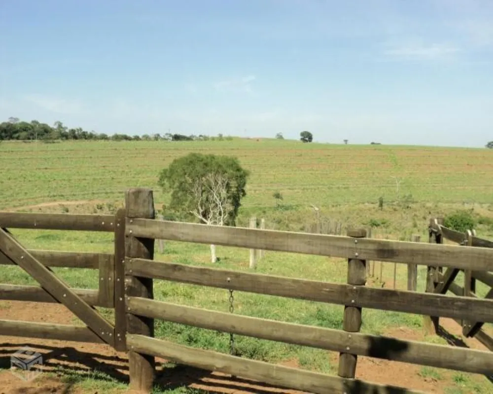 Fazenda - Foto 6