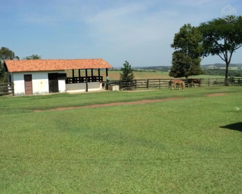 Fazenda - Foto 4