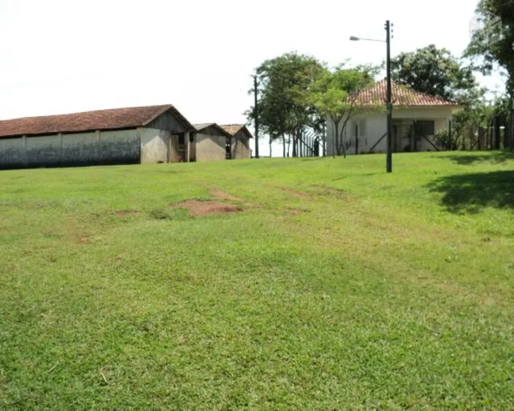 Fazenda - Foto 5