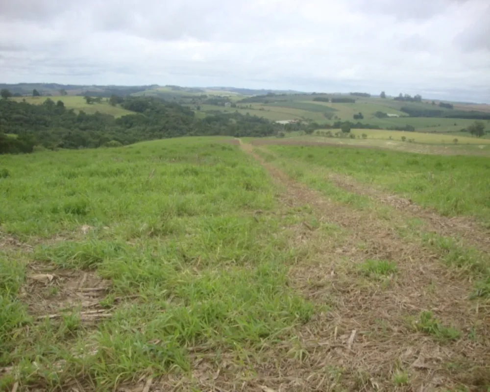 Fazenda - Foto 3