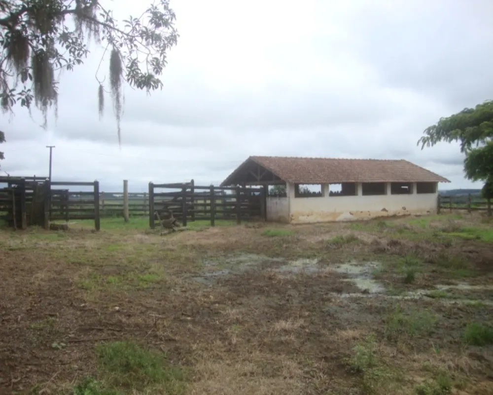 Fazenda - Foto 4