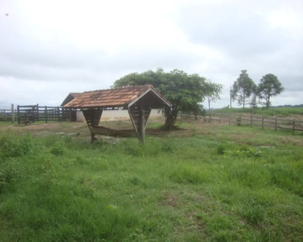 Fazenda - Foto 6