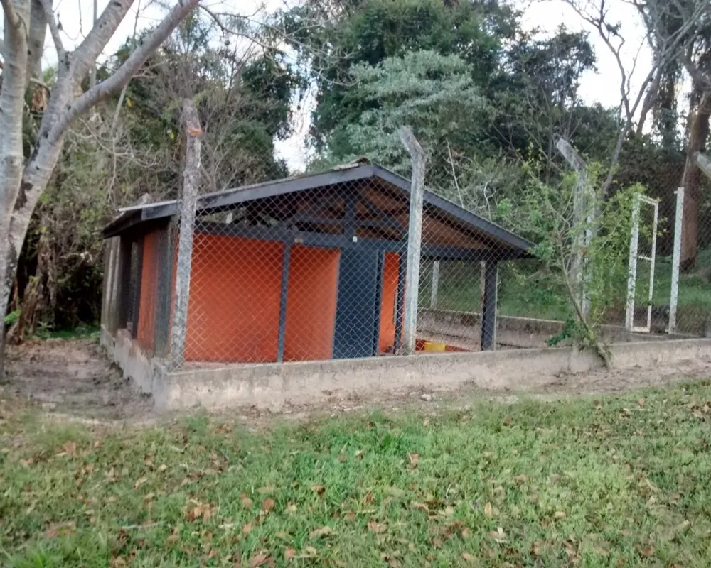 Sítio - Foto 7