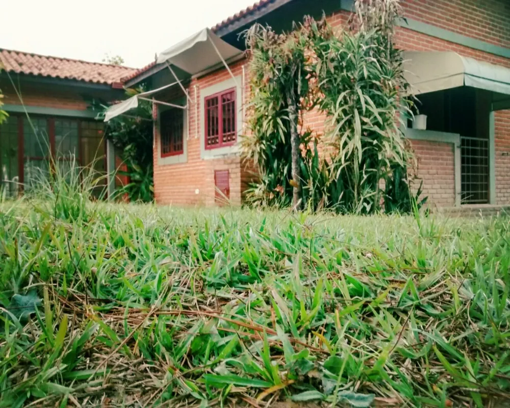 Sítio - Foto 2