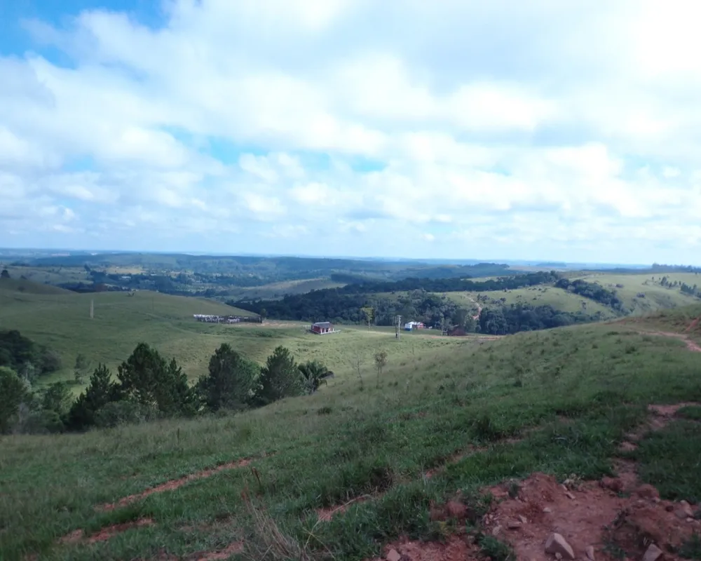 Fazenda - Foto 10