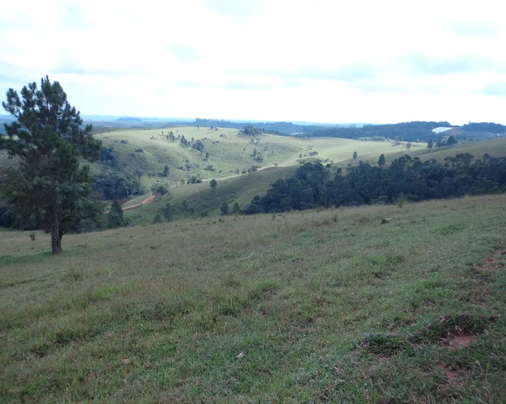 Fazenda - Foto 19