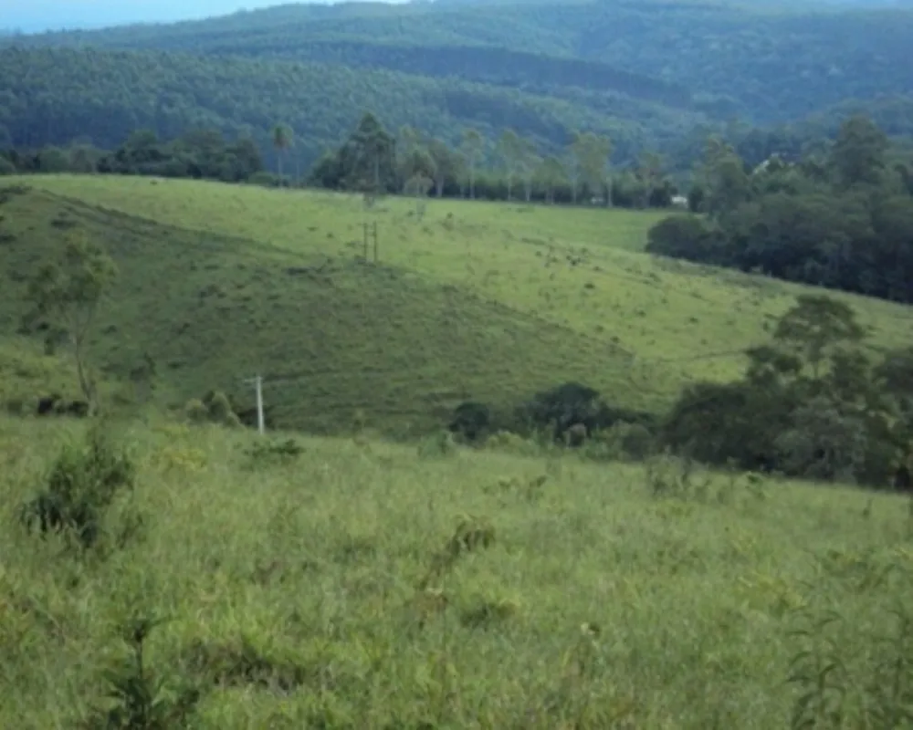 Fazenda - Foto 8