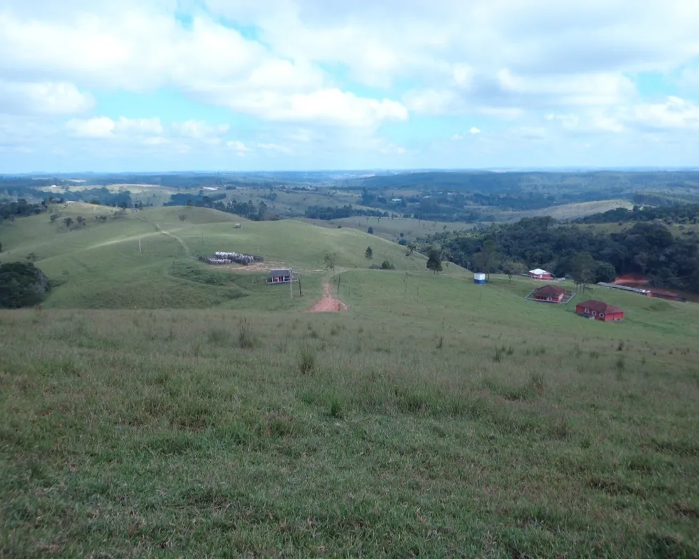 Fazenda - Foto 17