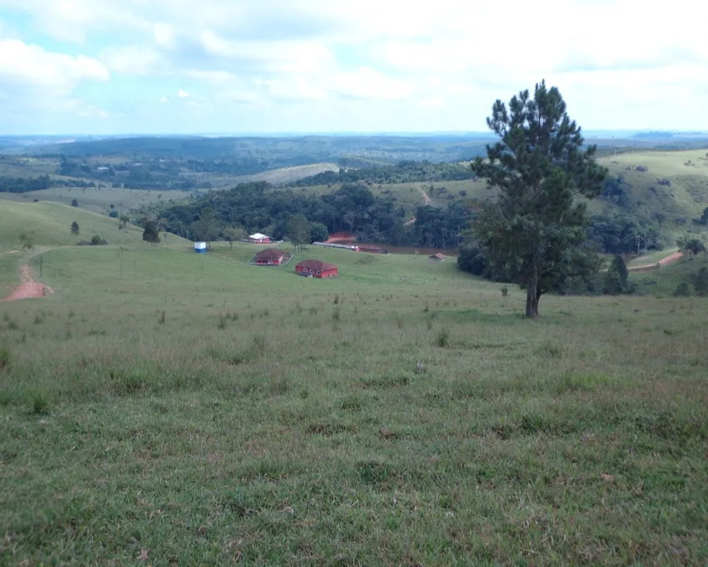 Fazenda - Foto 18