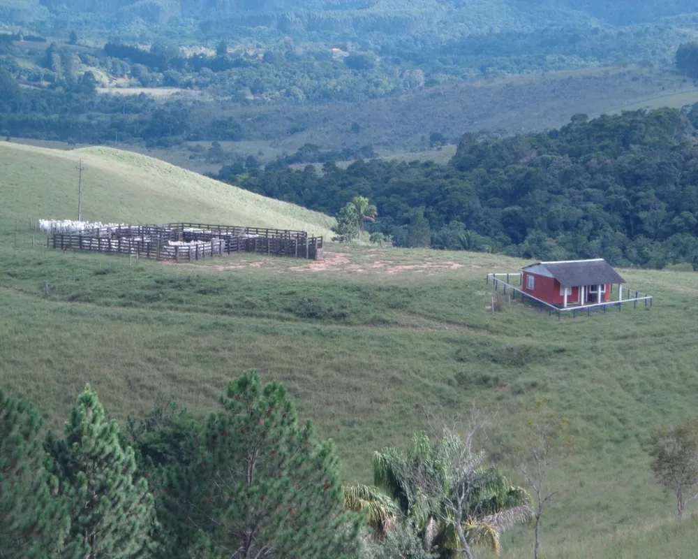 Fazenda - Foto 15
