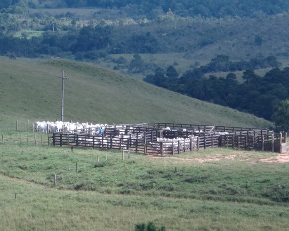 Fazenda - Foto 11