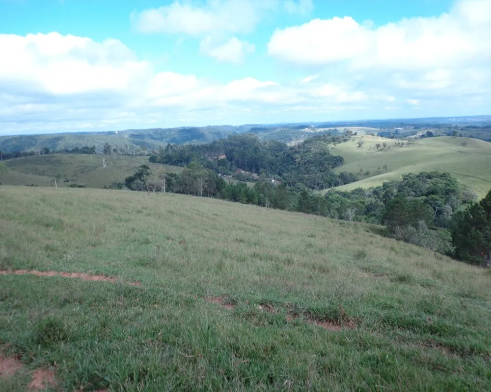 Fazenda - Foto 16