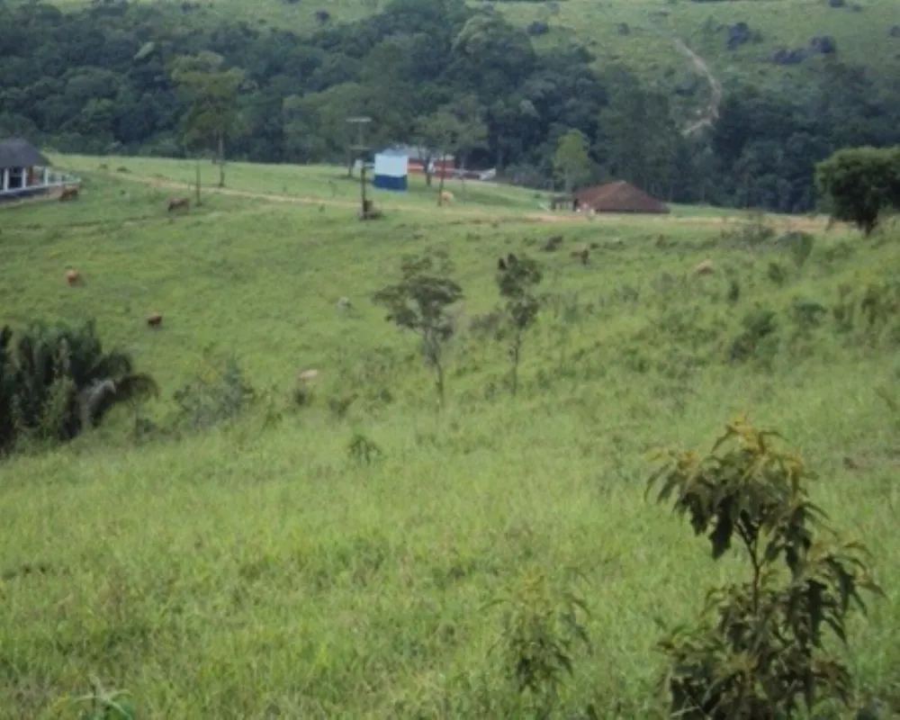 Fazenda - Foto 7
