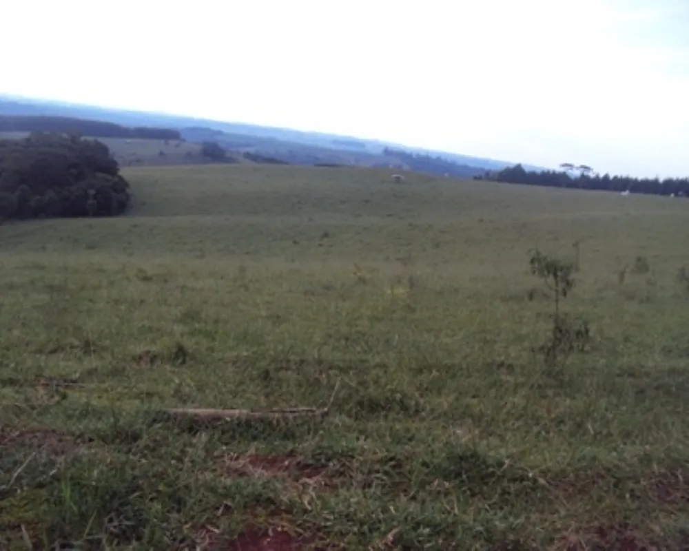 Fazenda - Foto 3