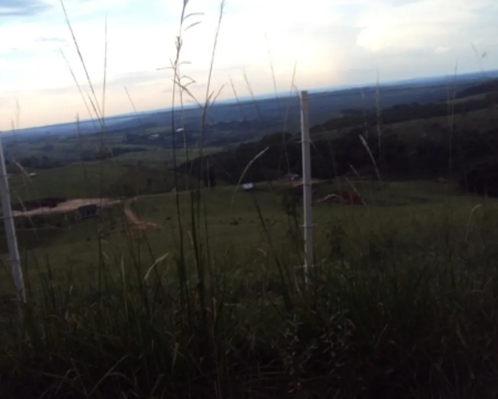 Fazenda - Foto 5