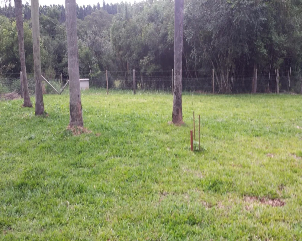 Chácara - Foto 2