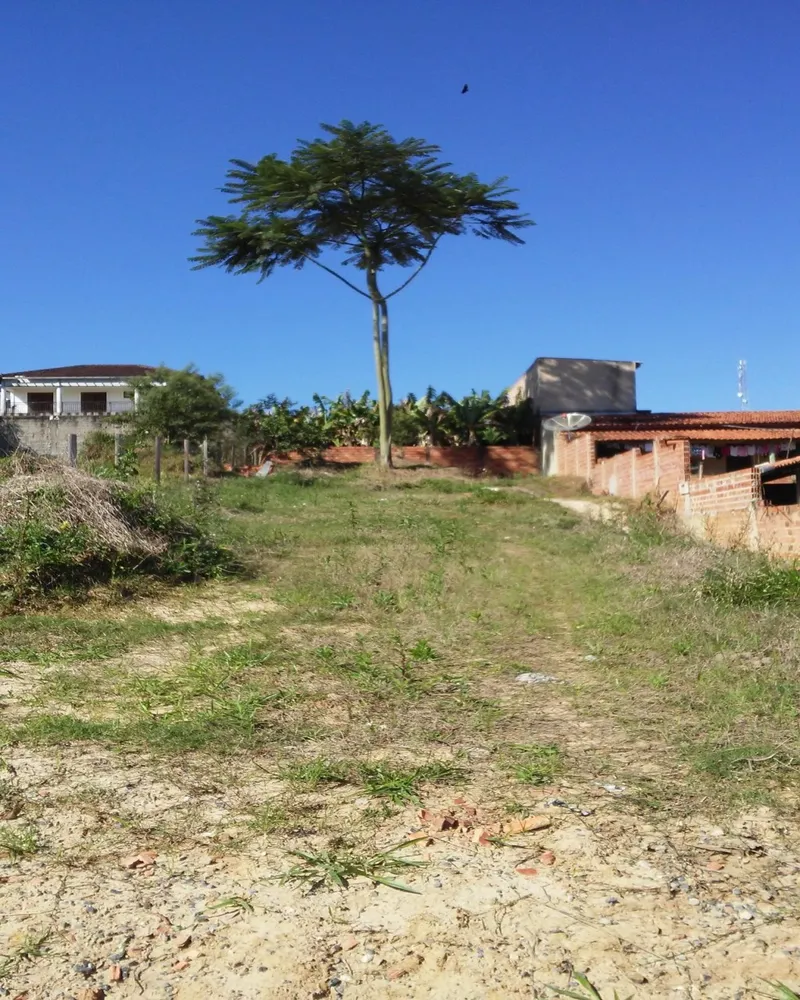 Terreno, 1000 m² - Foto 7