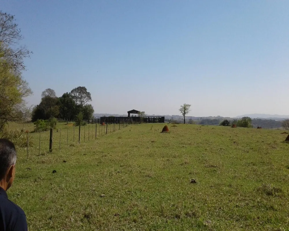 Fazenda - Foto 6