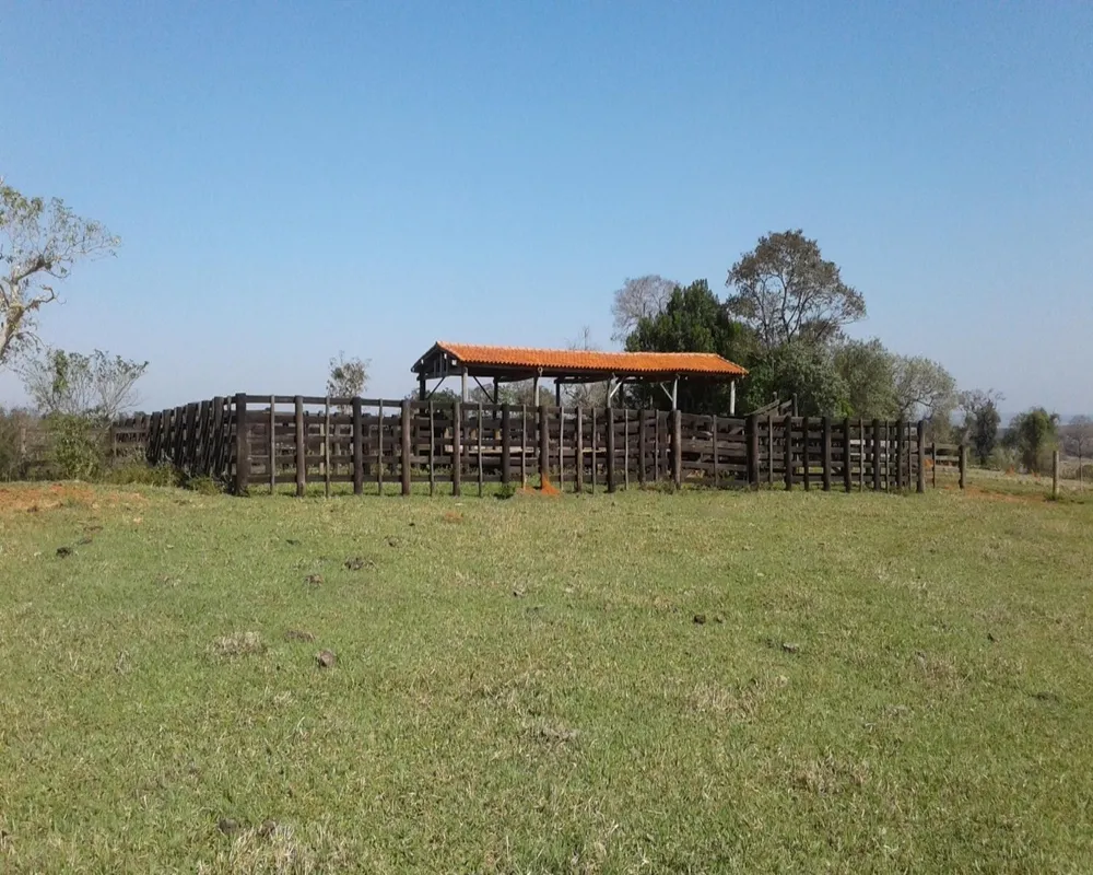 Fazenda - Foto 4
