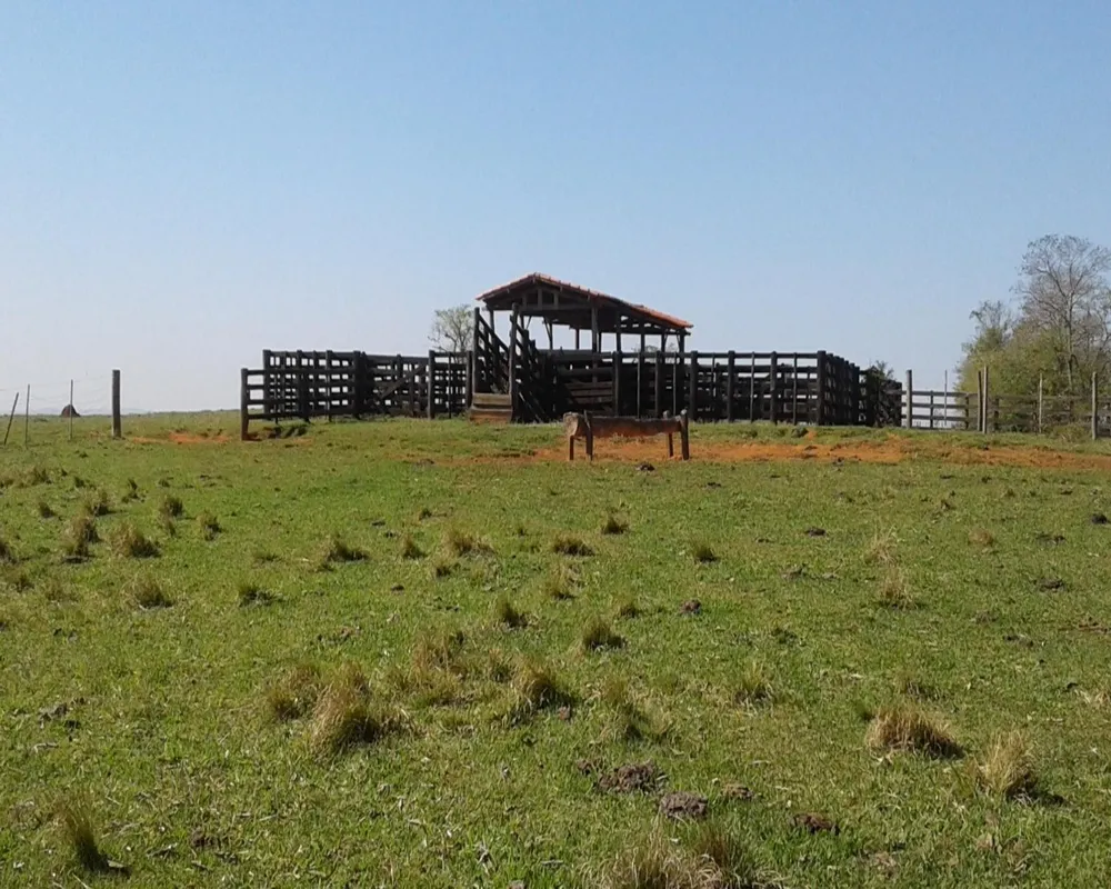Fazenda - Foto 2