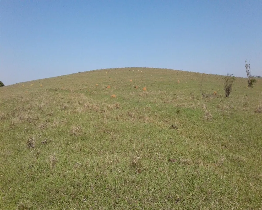Fazenda - Foto 8