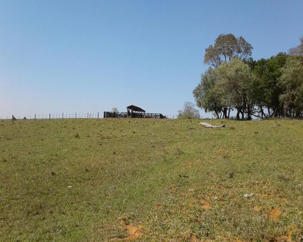 Fazenda - Foto 7