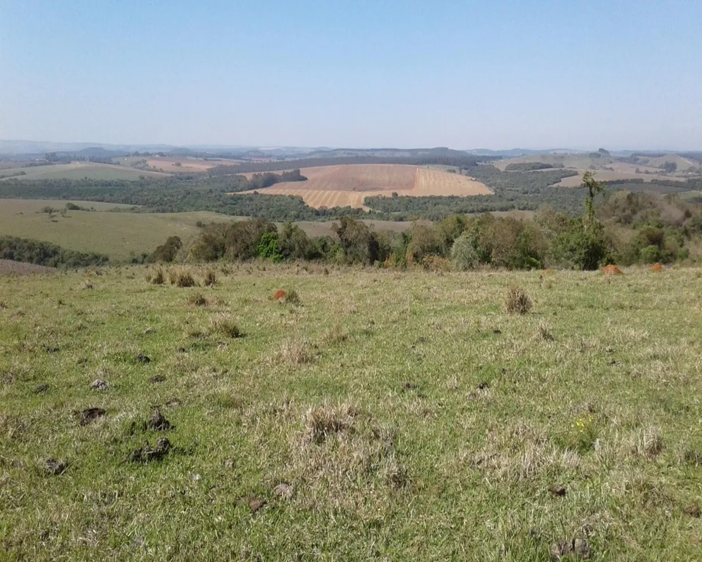 Fazenda - Foto 5