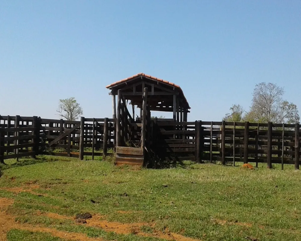 Fazenda - Foto 1