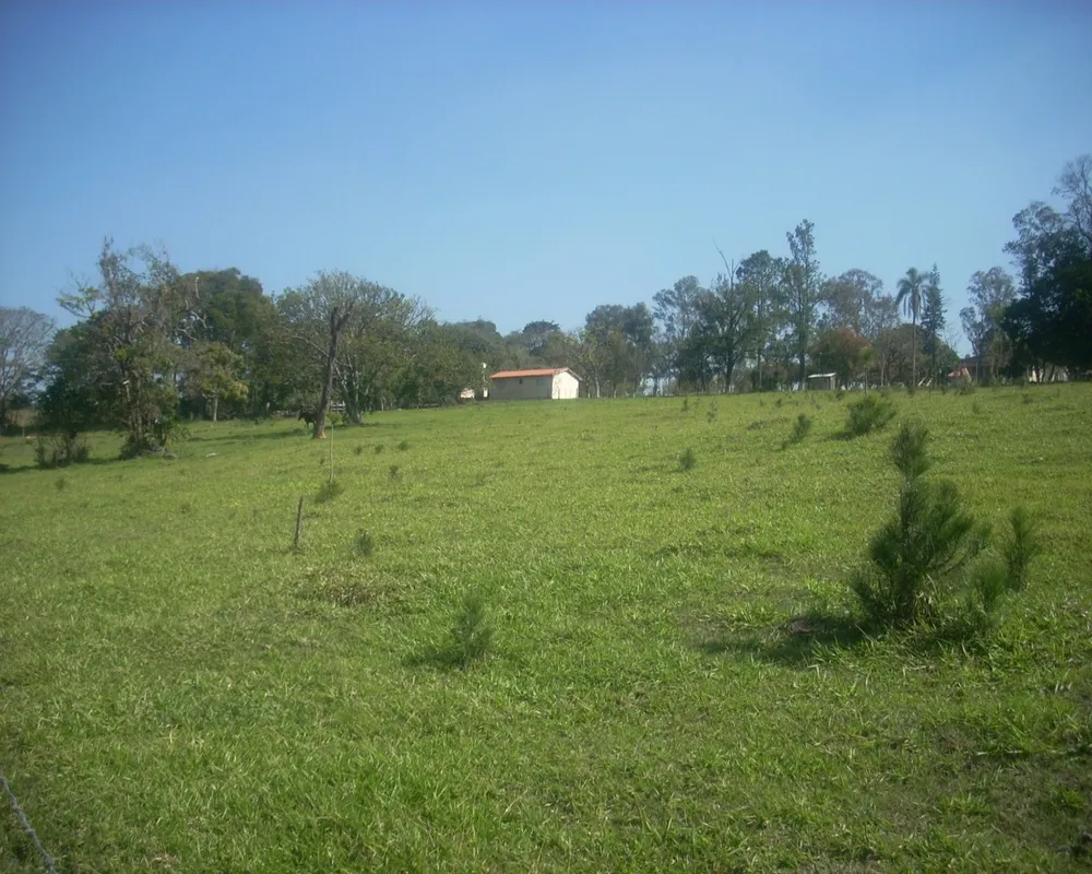 Sítio - Foto 6