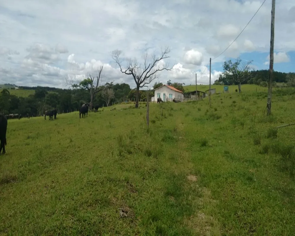 Sítio - Foto 13