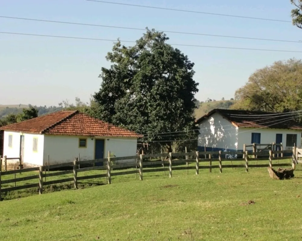 Fazenda - Foto 4