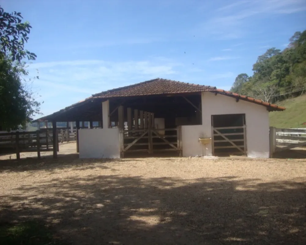 Fazenda - Foto 6