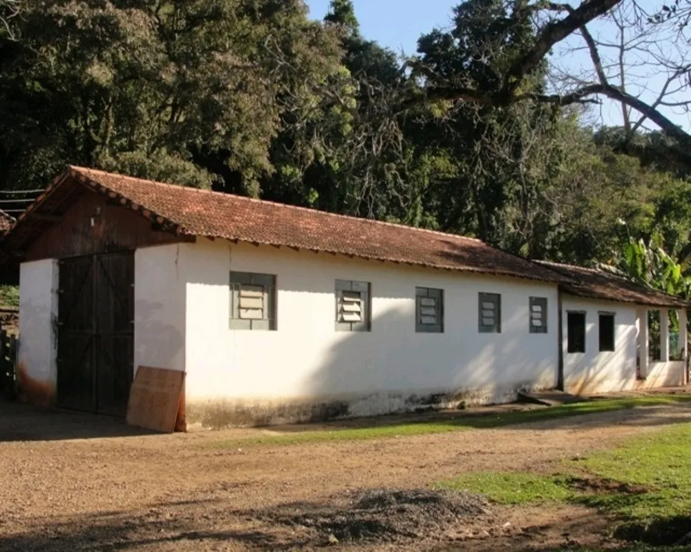 Fazenda - Foto 2