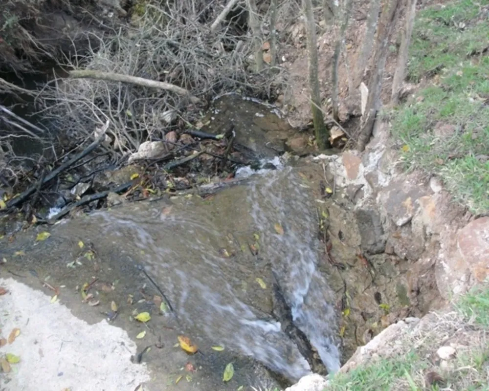Fazenda - Foto 3