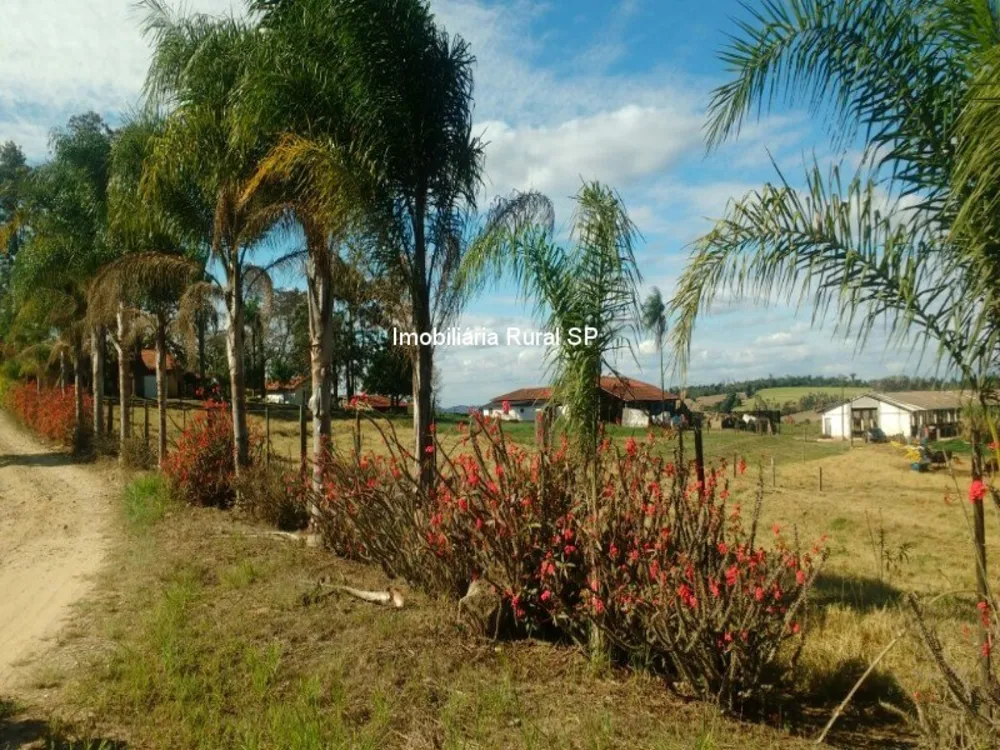 Sítio - Foto 5