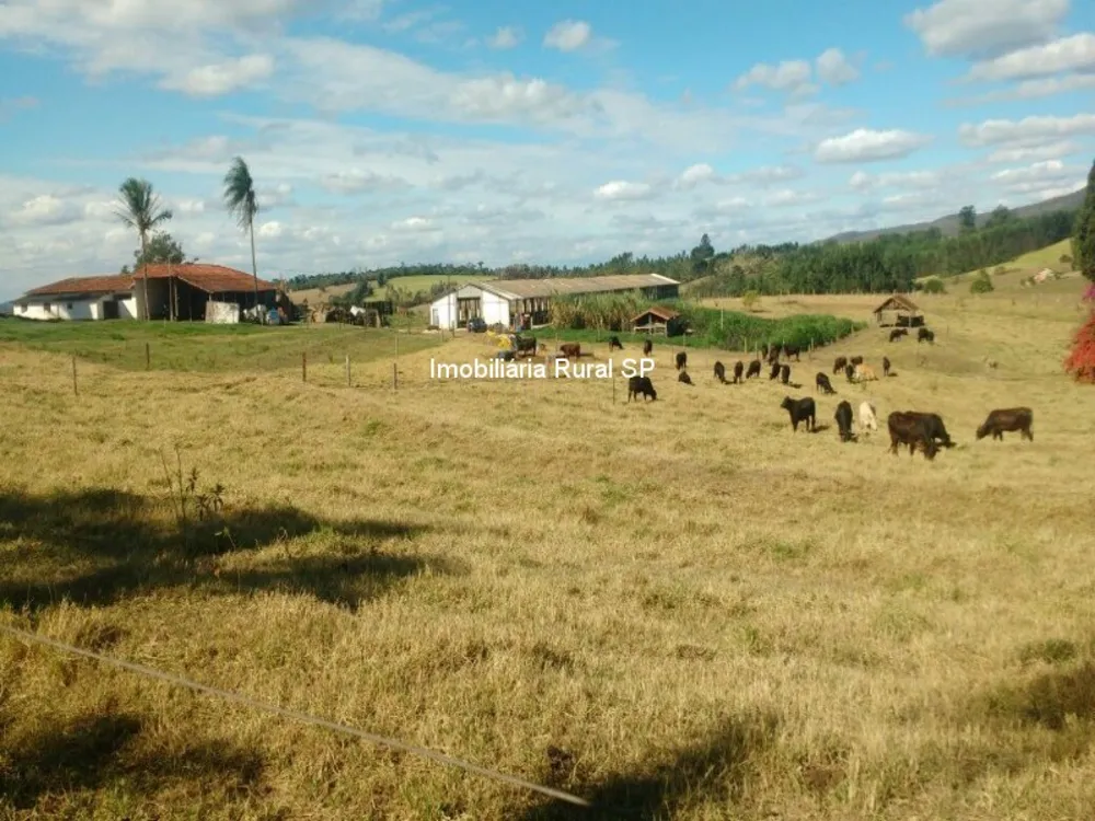Sítio - Foto 1