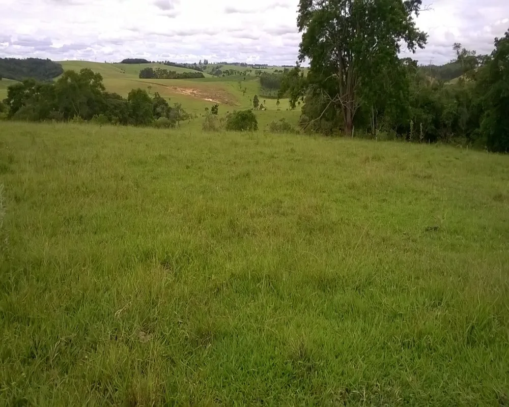 Fazenda - Foto 2